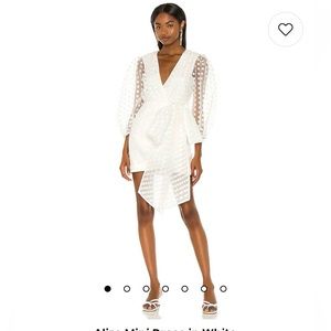 Lovers + Friends Alize Mini Dress